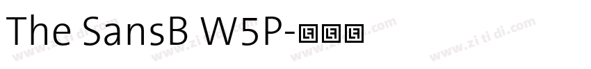 The SansB W5P字体转换